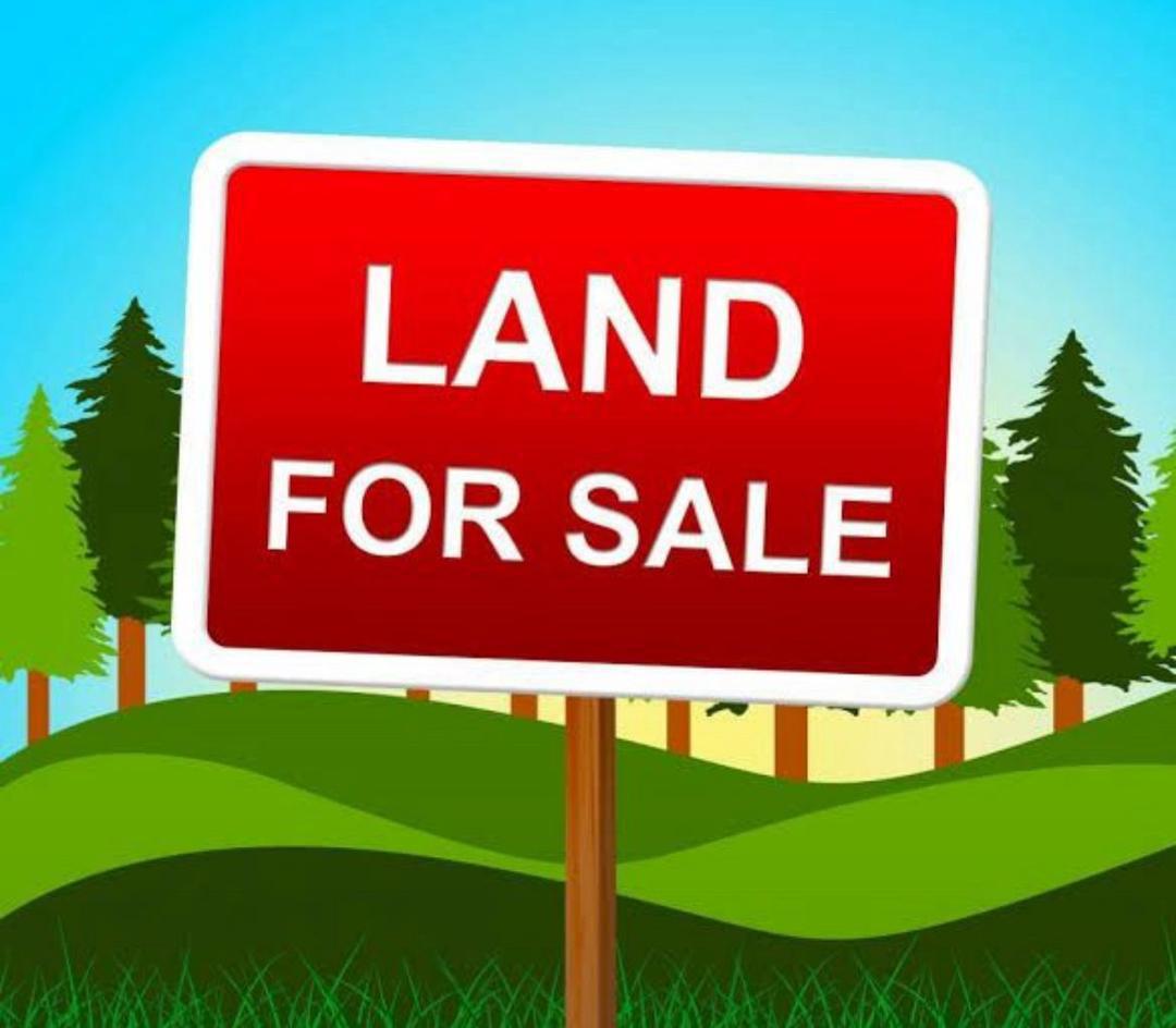LAND
